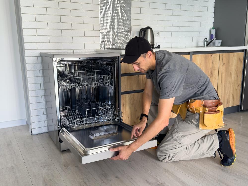Gaziosmanpaşa Electrolux Servisi